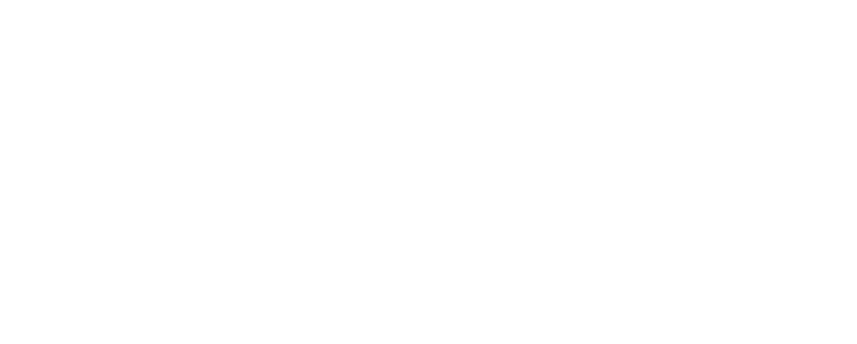 Логотип RMV